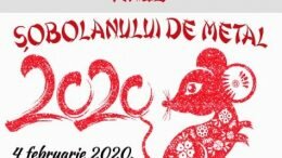 Anul Nou Chinezesc – Anul Șobolanului de Metal