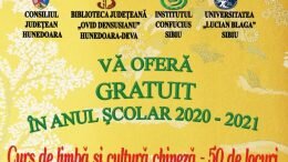 Cursuri de limba chineză